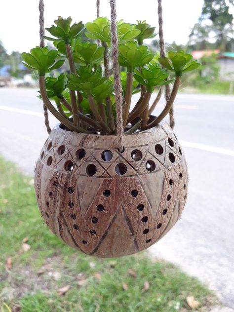 1 Pc  Small Size  Natural Coconut Shell Hanging Planter Pot Busket pot by Handmadebyyucrack on Etsy Coconut Shell Planter, Bamboo Ideas, Coconut Shell Crafts, Pineapple Flowers, Shell Planter, Shell Craft, Shells Diy, Garden Beautiful, Shell Crafts Diy