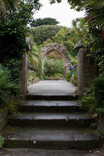 Garden Ruins, Fancy Buildings, Tresco Abbey Gardens, Haunting Images, Garden Illustrations, Scilly Isles, Town And Country Magazine, Country Magazine, English Gardens