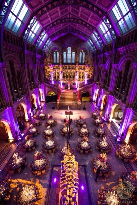 Wedding Natural History Museum, Natural History Museum London Wedding, Museum Events Ideas, Wedding At A Museum, Museum Wedding Decor, Museum Wedding Ideas, Museum Wedding Reception, Wedding Museum, Museum Party