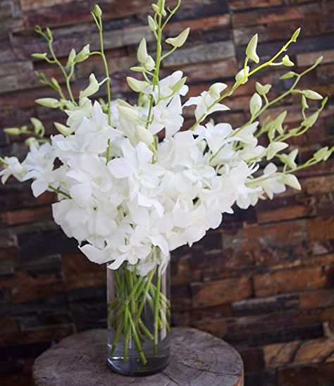 White Orchid Bouquet, White Dendrobium Orchids, Bouquet Delivery, Orchid Bouquet, Vase Flowers, Dendrobium Orchids, Floral Centerpiece, White Orchids, Birthday Thank You