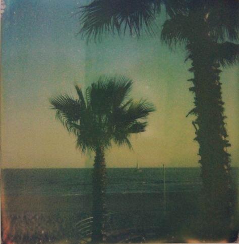 Image Film, Summer Dream, Mellow Yellow, Island Life, Summer Aesthetic, Pretty Pictures, Film Photography, Aesthetic Pictures, Palm Trees