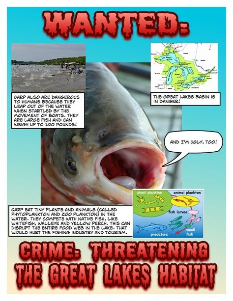 Fifth grade students researched invasive species in the Great Lakes as part of a unit on living systems. They found out where the species originated and how it spread. They also determined its environmental impact. Then they were tasked with creating a "Wanted Poster" presenting why the species was considered harmful. They found appropriate images and used the Comic Life software program to create their posters. Comic Format, Social Studies For Kids, Influencer Ideas, Summer Science, Problem Based Learning, 4th Grade Science, Wanted Poster, 5th Grade Science, Social Studies Classroom