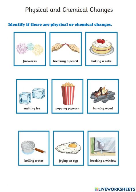 Physical And Chemical Changes Project, Physical And Chemical Changes Activities, Physical Change And Chemical Change, Physical Changes Activities, Chemical Changes Activities, Physical Vs Chemical Change, Physical And Chemical Changes, Changes In Matter, Chemical Change