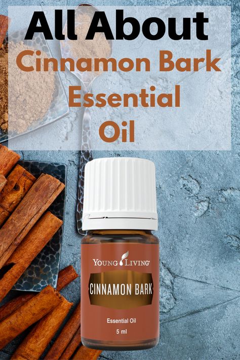 Cinnamon Bark Essential Oil has a spicy and festive scent. Learn more about Cinnamon Bark and how I use it. #CinnamonBarkEssentialOil #essentialoiluses #essentialoilbenefits | EOGuys.com Uses For Cinnamon Bark Essential Oil, Cinnamon Bark Benefits, Cinnamon Bark Essential Oil Benefits, Cinnamon Essential Oil Benefits, Cinnamon Uses, Cassia Essential Oil, Homemade Lotion Bars, Cinnamon Bark Essential Oil, Essential Oils For Massage