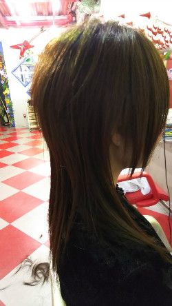 Vkei Haircut Long, Vkei Mullet, Vkei Haircut, Vkei Hair, Asian Mullet, Jellyfish Hair, Jellyfish Haircut, Mullet Haircut, Funky Hairstyles