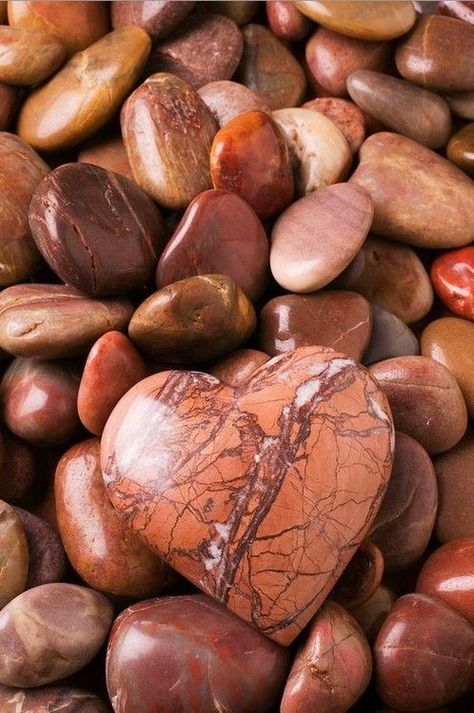 Brown Pics, Heart Rocks, Heart Shaped Rocks, Heart In Nature, Heart Art Print, Stone Wallpaper, Brown Chocolate, I Love Heart, Pebble Stone