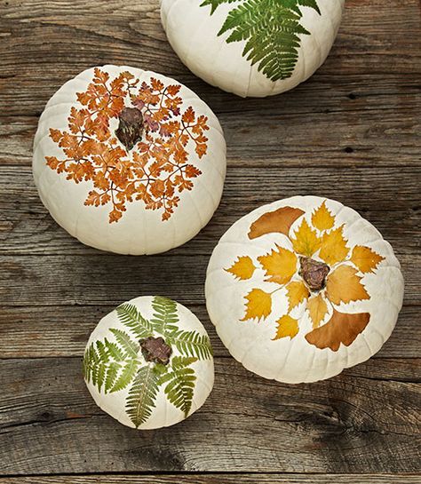 10 Fantastic Pumpkins DIY to Sparkle Up your Halloween Decor Decoupage Pumpkins, No Carve Pumpkin Decorating, Halloween Decor Diy, Pressed Leaves, Creative Pumpkins, Zucca Halloween, Fall Craft, Fall Decoration, Fabulous Fall