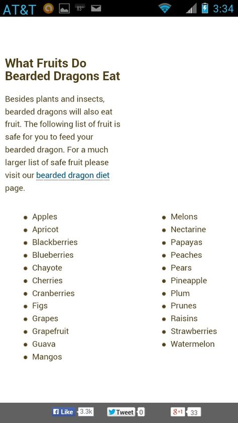 Bearded Dragon Weight Chart, Bearded Dragon Diet, Weight Chart, Dragon Stuff, Fruit List, Weight Charts, Eat Fruit, Bearded Dragon, Beards