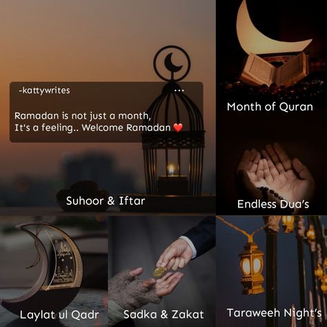 Ramadan Routine, Ramadan Mode, Islamic Profile, Nice Dp For Whatsapp, Islamic Baatein, Mahe Ramzan, Islamic Dp Quotes, Best Ramadan Quotes, Quotes For Dp