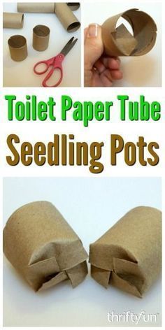 Plantarea Legumelor, Toilet Paper Tubes, Plants Diy, Seedling Pots, Paper Pot, Toilet Paper Tube, نباتات منزلية, God Mad, Garden Types