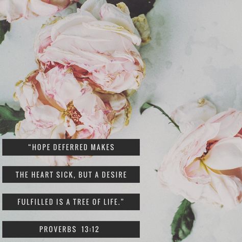 Proverbs 13 12, Hope Deferred Makes The Heart Sick, Hope Deferred, Creator Quotes, Life Proverbs, Proverbs 13, Redeeming Love, Flowers Wallpapers, Uplifting Words