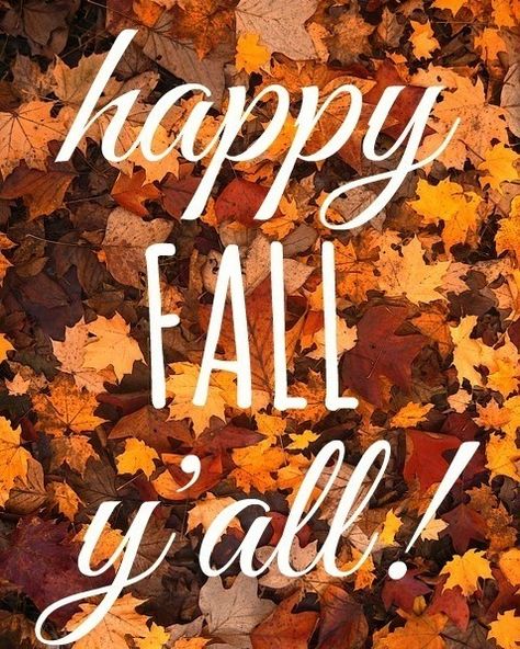 First day of Fall! #pumpkins #sweaters #boots #festivals #halloween #thanksgiving #friends #family #specials Fall Boards, Fall Quotes, Fall Wallpapers, Favourite Season, Pineapple Images, Modern Heart, I Love Fall, Fall Yall, Cool Wallpapers For Phones