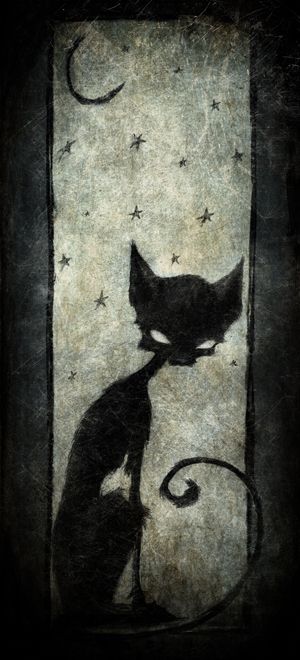 Black cat. Artist unknown. A Cat, A Black, Black Cat, Kitty, Black And White, Stars, White, Black