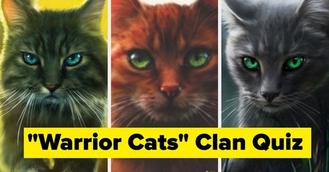 Take this quiz to see which Warrior Cats clan fits you best. Warrior Cats Quiz, Warrior Cats Clans, The Ultimate Warrior, Cat Medicine, Warrior Names, Warrior Cats Books, Ultimate Warrior, What Cat, Warrior Cats Art