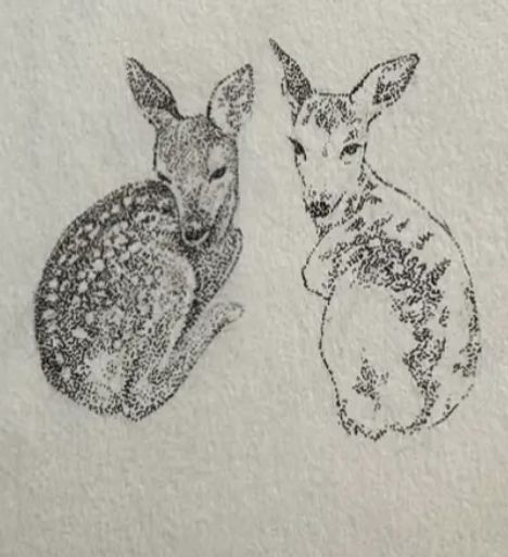 @divine.dust_ on ig Tattoo Ideas Deer, Deer Tattoos For Women, Doe Tattoo, Deer Drawing, Funky Tattoos, Deer Tattoo, Fire Tattoo, Dainty Tattoos, Amazing Drawings