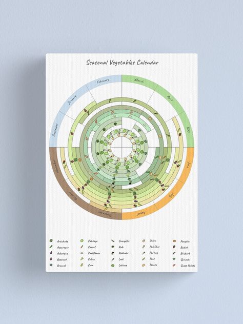 "seasonal vegetable calendar" Canvas Print by leancircuit | Redbubble Vegetable Calendar, Meal Calendar, Season Calendar, Calendar March, Seasons Activities, Vegetable Seasoning, Annual Report, Cotton Tote Bags, Canvas Print