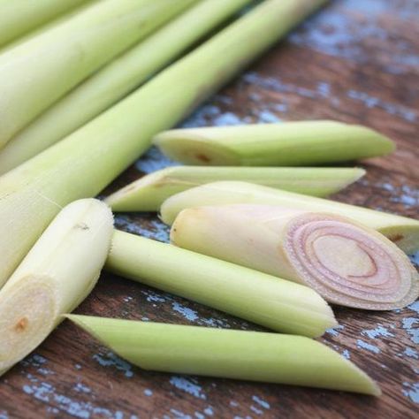 Use the lemongrass stalks to make essential oil by the cold- or hot-infusion method. Lemongrass Recipes, Lemongrass Soup, Lemongrass Plant, Lemongrass Tea, Making Essential Oils, Pear Juice, Lemongrass Oil, Lemongrass Essential Oil, Infused Oils