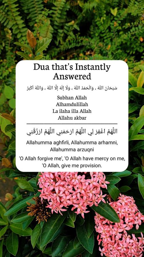 Dua that's Instantly Answered ✨❤ | Turn Back To Islamic | Turn Back To Islamic · Original audio Islamic Lifestyle, Quran Ramadan, Powerful Dua, Daily Dua, Dua Islam, Islam Quotes About Life, Islam Beliefs, Islam Hadith, Pray Quotes