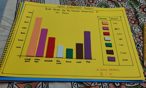 Bar graph for monthly expenditures of my family Creative Bar Graph Design, Bar Chart Ideas, Bar Graph Design, Bar Graphs Activities, Math Decorations, Maths Project, Math Models, School Science Projects, Math Enrichment