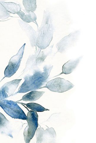 Blue Watercolor, Watercolor Background, Botany, Adobe Stock, Mural, Blue