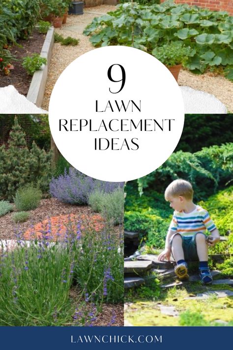 9 Lawn Replacement Ideas Backyard Grass Replacement Ideas, Lawn Free Garden, Replace Lawn With Garden, Reduce Grass In Backyard, No Grass Garden Ideas Lawn Alternative, Front Yard Grass Replacement Ideas, Lawn Conversion Ideas, Gardens Without Lawns, Lawn Alternatives For Dogs