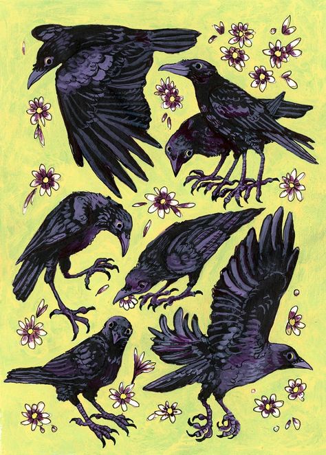 Crows Drawing, Crow Painting, Arte Monster High, Crow Art, Raven Art, Crows, Art Journals, Pretty Art, Animal Drawings