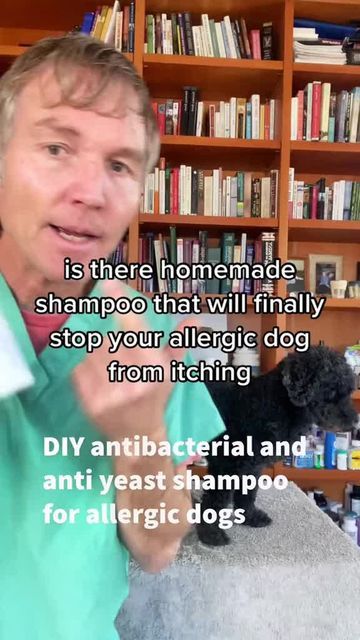 Dog Dandruff Remedy Diy, Yeast Remedies For Dogs, Stinky Dog Remedy, Dog Moisturizer Skin Diy, Diy Allergy Relief For Dogs, Dog Allergy Remedies, Yeast In Dogs Skin, Diy Dog Shampoo For Odor, Natural Dog Shampoo Diy