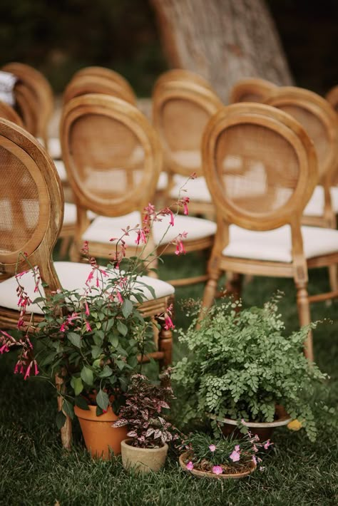 Backyard Wedding Aisle, Wedding Aisle Floral, Italian Flowers, June Photography, Wedding Plants, Aisle Markers, Wedding Isles, Ideas For Backyard, Backyard Weddings