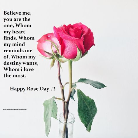 Happy Rose Day good captions Rose Day Captions, Happy Rose Day Quotes, Best Ig Captions, Rose Day Wishes, Rose Day Quotes, Good Captions, Ig Caption, Happy Rose Day, 2022 Quotes