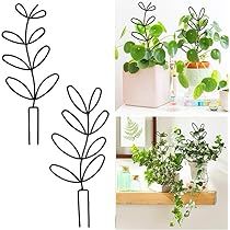 Climbing Plants Indoor, Potted Plant Trellis, Pot Trellis, Indoor Plant Trellis, Climbing Plant Support, Iron Trellis, Metal Trellis, Plant Trellis, Framed Leaves