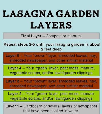 Lasagna Garden, Garden Layers, Lasagna Gardening, Raised Vegetable Gardens, Building A Raised Garden, Garden Compost, Tomato Garden, Veggie Garden, Growing Food