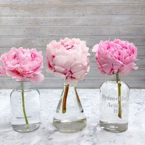 Three pink 'Sarah Bernhardt' peonies in vintage apothecary bottles. Styling and photography © Ingrid Henningsson for Of Spring and Summer. Peonies Birthday, Vases Pots, Sarah Bernhardt, Floral Quotes, Vintage Apothecary, Apothecary Bottles, Peonies Bouquet, Floral Inspiration, Seasonal Flowers