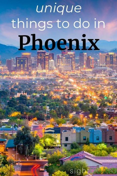 Don't overlook Phoenix! It's not just an airport for Sedona or the Grand Canyon.  This thriving city has lots of things to do in the Phoenix area, and I guarantee you haven't thought of some of these activities on your own.  I've got ideas for everyone, no matter what your interests, and whether you're staying in Old Town Scottsdale, Tempe, Mesa, or downtown Phoenix.  Check it out! #Phoenix #Arizona #ArizonaTravel Phoenix In March, Things To Do In Downtown Phoenix Arizona, Mesa Arizona Things To Do, Phoenix Activities, Arizona Vibes, Downtown Phoenix Arizona, Phoenix Skyline, Trip To Arizona, Indoor Things To Do