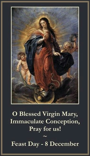 Feast Of Immaculate Conception, Mary Immaculate Conception, Immaculate Conception Of Mary, Our Lady Of Immaculate Conception, Living For God, Mary Immaculate, The Immaculate Conception, Mother Images, Beautiful Morning Quotes