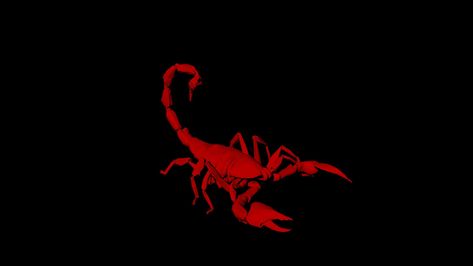 Scorpion Wallpaper, Red Scorpion, Mahindra Scorpio, Home Gym Design Garage, Wallpaper Gold, Spiritual Wallpaper, Survival Skills Life Hacks, Album Art Design, Wallpaper Red