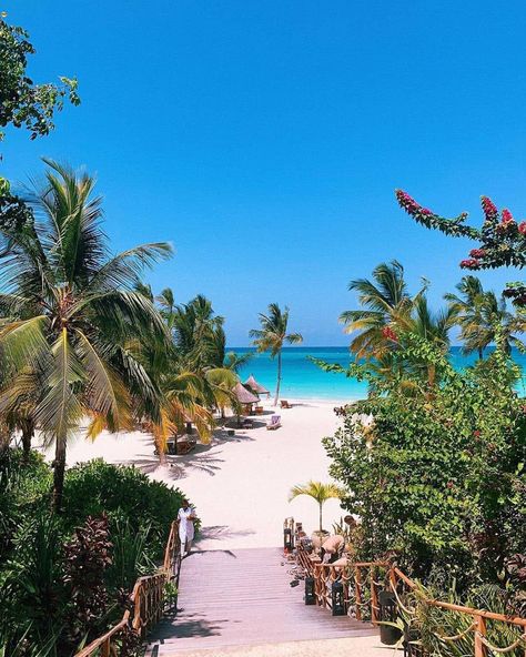 Zuri beach zanzibar resort ultimate guide Zanzibar Beach, Zanzibar Beaches, Enjoy Your Vacation, Vacation Resorts, Beach Resort, Beach Resorts, Beach Vacation, Travel Guide, Travel