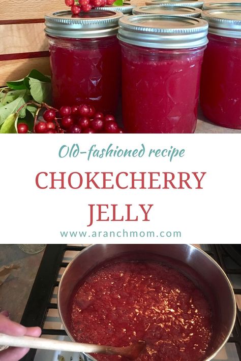 Reliable chokecherry jelly recipe Chokecherry Jam Recipe, Chockcherry Jelly Recipe, Chokecherry Jelly With Pectin, Chokecherries Recipes, Chokecherry Jam, Chokecherry Recipes, Cinnamon Pickles, Cherry Jelly Recipes, Chokecherry Syrup