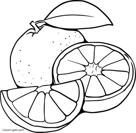 13 free printable Orange coloring pages in vector format, easy to print from any device and automatically fit any paper size. Lemon Images, Fruit Coloring Pages, Preschool Coloring Pages, Embroidery Template, Easy Coloring Pages, Felt Patterns, Outline Drawings, Aperol Spritz, Hand Embroidery Patterns