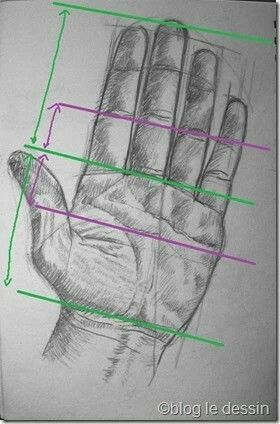 Drawing A Hand, Drawing Of A Hand, Face Proportions Drawing, Pencil Shading Techniques, Human Body Drawing, Portraiture Painting, Hand Drawing Reference, Portraiture Drawing, Human Drawing