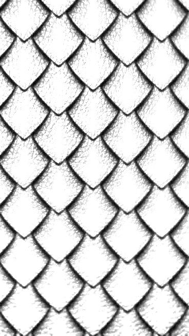 Snake Skin Tattoo Pattern, How To Draw Snake Scales, Snake Skin Drawing, Snake Scales Drawing, Snake Pattern Drawing, Fish Scales Drawing, Snake Skin Tattoo, Fish Scale Tattoo, Miracle Tattoo