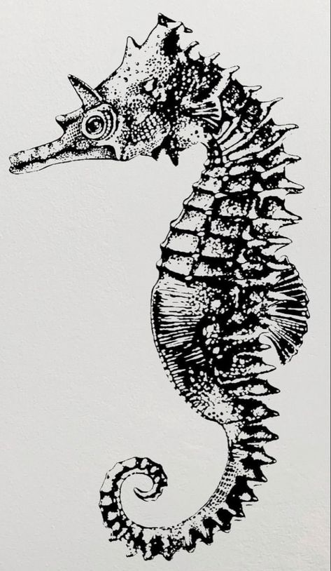 Sea Horse Tattoo Design, Seahorse Drawing Tattoo, Tattoo Ideas Seahorse, Black And White Seahorse Tattoo, Creepy Seahorse Tattoo, Seahorse Drawing, Seahorse Tattoo, Cross Hatching, Leg Sleeves