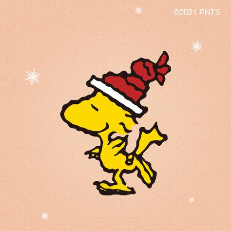 Snoopy December, Snoopy New Year, Christmas Cartoon Characters, Woodstock Snoopy, Woodstock Peanuts, Snoopy Images, Peanuts Cartoon, Snoopy Wallpaper, Snoopy Pictures