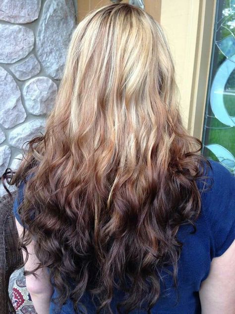 Reverse Ombre' Ombré Curly Hair, High And Low Lights, Reverse Ombre, Hair 2024, Hair Stuff, Cool Hair Color, Diy Hair, Dream Hair, Hair Colour