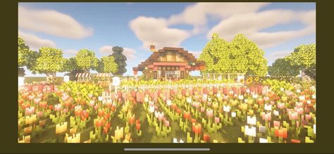 Minecraft Tulip Field, Minecraft Tulip, Tulip Field, Tulip Fields, Minecraft Houses, Tulips, Minecraft, Dolores Park, Travel