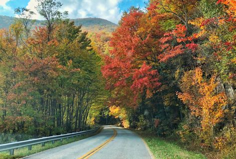 3 scenic drives to take this fall in the North Georgia mountains - Atlanta Magazine Mountain Engagement Photos, North Georgia Mountains, Georgia Travel, Georgia Mountains, Picnic Spot, Autumn Drives, Road Trip Essentials, North Georgia, Appalachian Trail