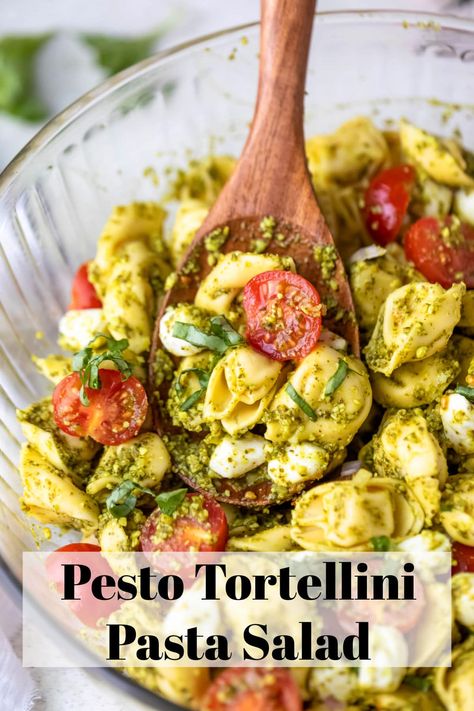 Easy 5-ingreient Pesto Tortellini Pasta Salad recipe takes just minutes to make and is packed with flavor. Great cookout side dish! Cookout Pasta Side Dishes, Cold Side Salads Parties, Tortellini Side Dish, 3 Cheese Tortellini Recipes, Pesto Side Dish, Easy Cookout Sides, 3 Cheese Tortellini, Pesto Tortellini Pasta Salad, Potluck Sides