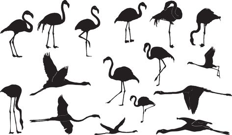 Dancers Silhouette, Flamingo Silhouette, Cactus Silhouette, Fly Drawing, Dancer Silhouette, Silhouette Tattoos, Stencils Printables, Flamingo Bird, Flamingo Art