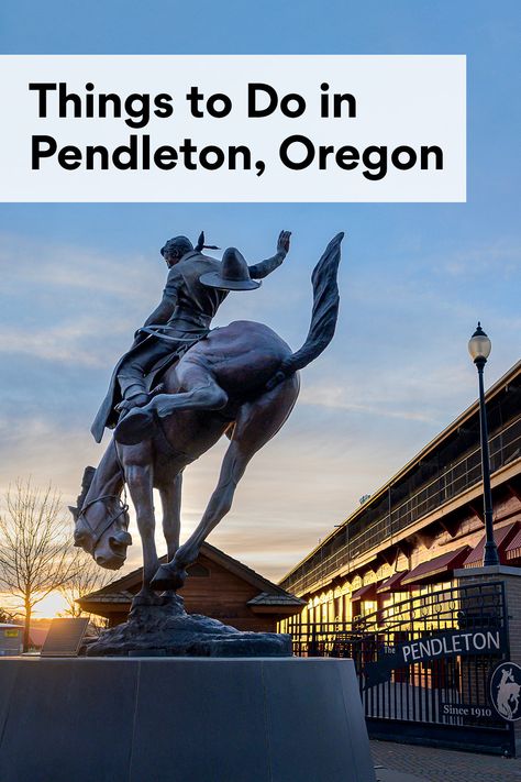 Things To Do In Pendleton Oregon, Wild West Town, Travel Therapy, Pendleton Round Up, Storm Watching, Pendleton Oregon, Depoe Bay, Silver Falls State Park, West Town