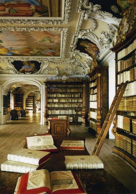 Dream Library, Beautiful Library, Old Library, Home Libraries, Rococo Style, Home Library, Book Nooks, Library Books, My Dream Home