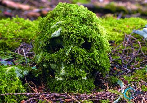 First Nations Moss Covered Skull - Jett Britnell Moss Covered Statues, Moss Covered Skull, Caduceus Aesthetic, Mossy Skull, College Sketchbook, Sugar Skull Planter, Fantasy Environment, Sugar Skull Decor, Folk Horror